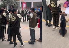 Viral: Perrito que cuida colegio se une al simulacro: “Defensa civil, tarea de todos”