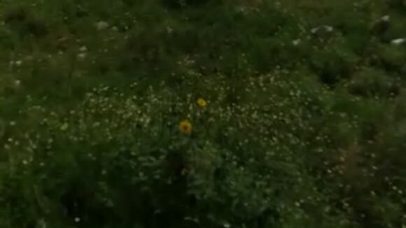 Carretera Central: reportan bloqueo en la vía por incendio de seis cisternas en Junín (VIDEO)