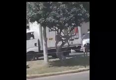 Así fue la infernal balacera en el Rímac: ladrones balearon a policías con armas de guerra e hirieron a dos transeúntes | VIDEO