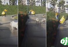 Heladero se accidenta por intentar hacer una peligrosa maniobra