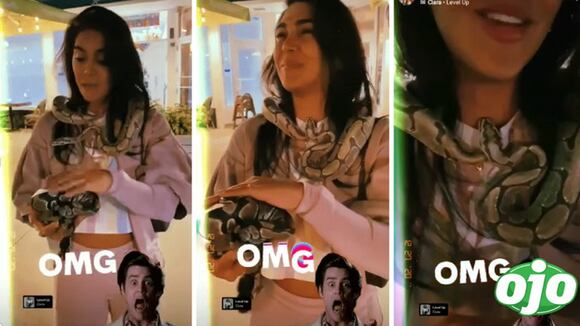 Vania Bludau pasa terrorífico momento con una serpiente en el cuello y Mario Irivarren lo graba | OJO
