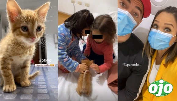 Andrea San Martin y Sebastian Lizarzaburu presentan a su nueva mascota - diario OJO