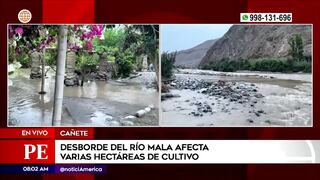 Cañete: desborde del río Mala está afectando a varias hectáreas de cultivos (VIDEO)