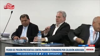 Mauricio Fernandini en audiencia judicial: “Quiero pedir perdón a mi familia” (VIDEO)