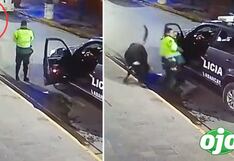 Viral: Policía intenta atrapar a toro que caminaba por la ciudad y termina mal