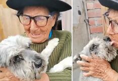 “¡Apareció!” Abuelita de 103 años vuelve a sonreír al reencontrarse con su perrito Raylu