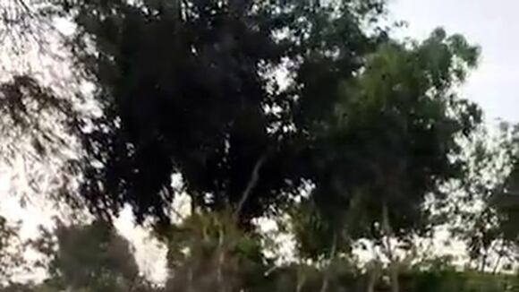 Sideral y su chocolatada 1