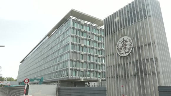 OMS: Dos subvariantes de ómicron impulsan el pico de COVID-19 en Sudáfrica