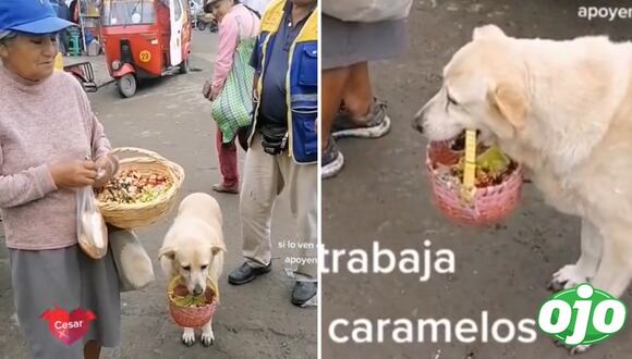 Ojo - Perrito le ayuda a su dueña a vender caramelos