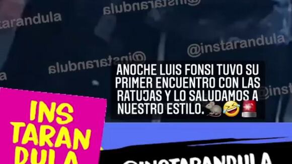 Luis Fonsi - diario ojo