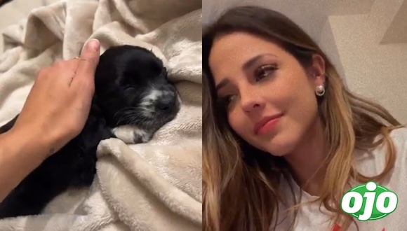 Luciana Fuster - diario ojo