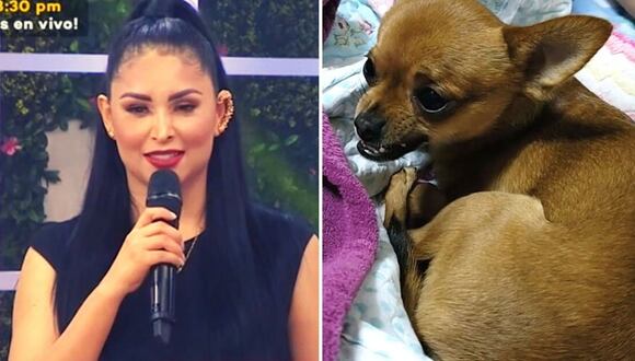 Pamela Franco responde sobre mascota