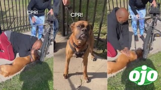Hombre conmueve a todos al salvar a un perrito con RCP y se hace viral en redes sociales