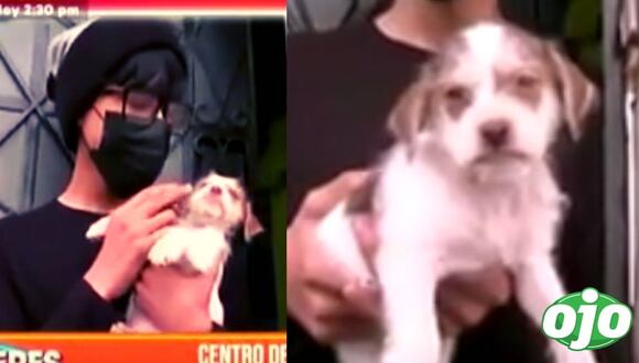 Diario Ojo- regalan perrito a dueña de Run Run