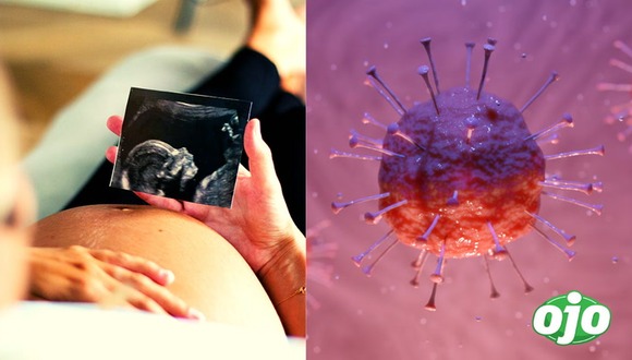 diario OJO | Vacuna Covid-19 e infertilidad