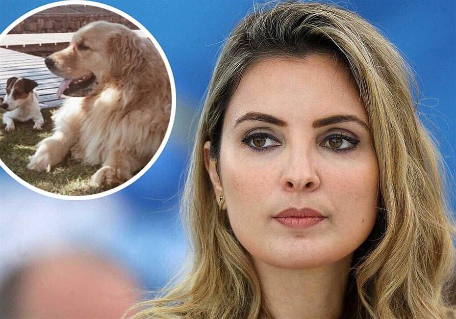 Primera dama se lanza al agua para salvar a su perro y despide a su seguridad