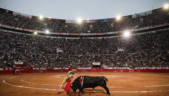 Las corridas de toros llevan a la muerte de animales sintientes que sufren terrible martirio. (Foto de Rodrigo Oropeza/AFP)