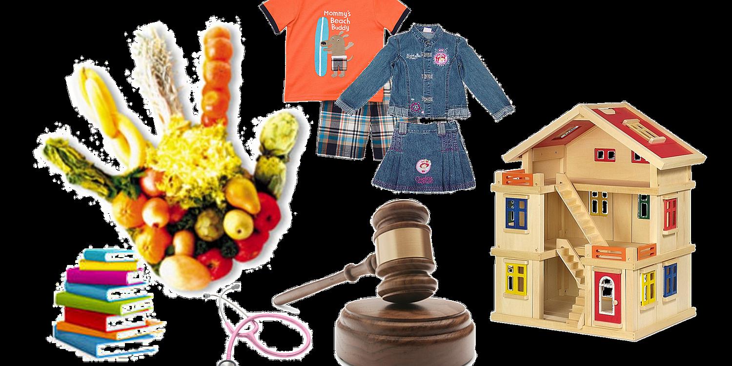 Varones e hijos también pueden iniciar demanda de alimentos 