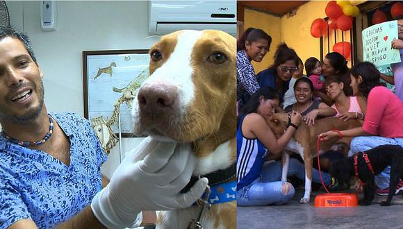 Independencia: Vecinos hacen pollada para perrito con terrible enfermedad