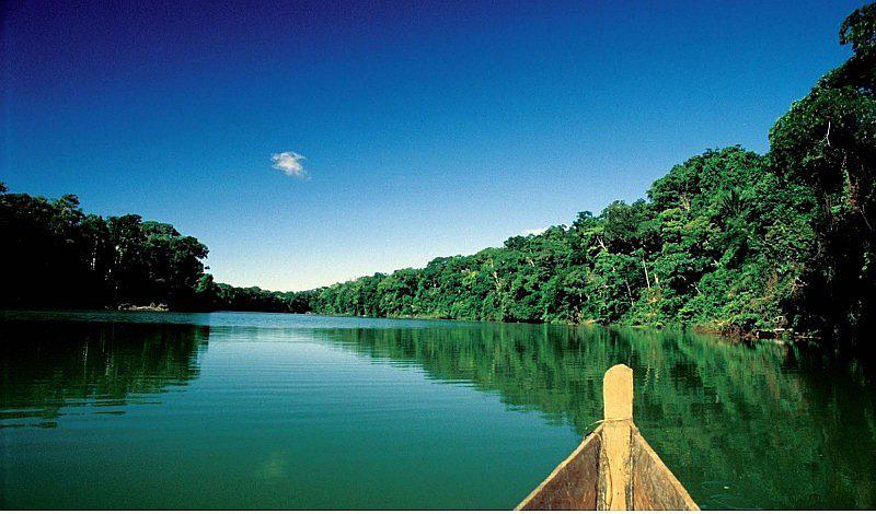 Semana Santa: vacunas que se requieren para ir a la selva