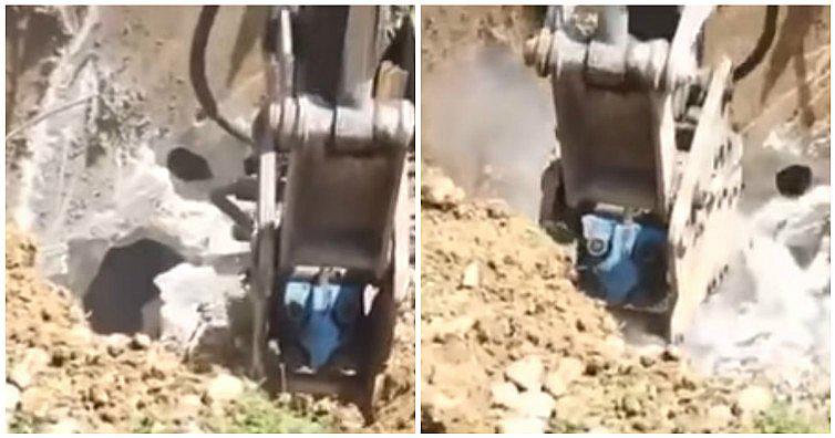 YouTube: obreros realizan excavación pero terminan hallando a este ser (VIDEO)