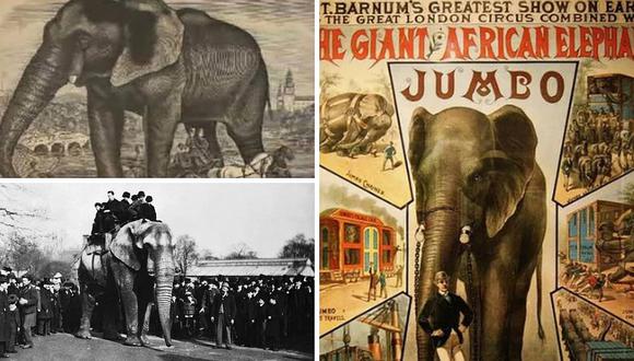 La desgarradora historia de Jumbo, el elefante que inspiró Dumbo de Disney (FOTOS)