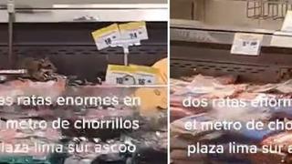 Indecopi anuncia investigación tras video de ratas gigantes en Metro de Chorrillos 