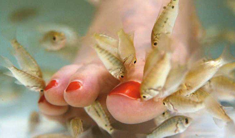 Tratamiento de belleza con peces deja sin dedos a una mujer