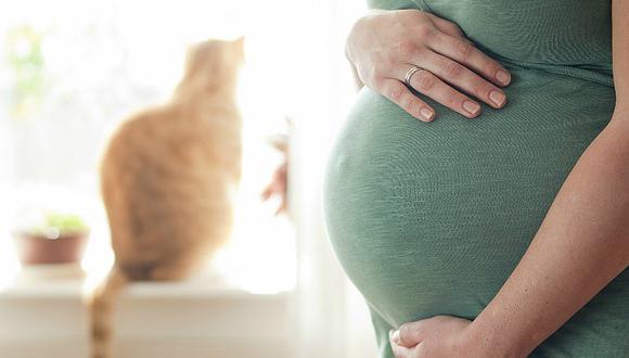 ¿Es malo sacarse muchas ecografías durante el embarazo?