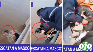 Perrito es rescatado tras ser arrastrados por las fuertes aguas del río en Puno | VIDEO