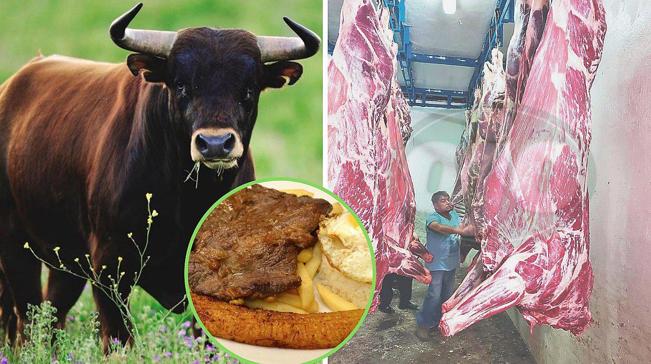 Le roban 8 toros valorizados en 25 mil soles y los encuentra sacrificados para bistec