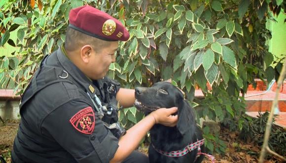 Policía adoptó a perrita que salvó de morir en el río Rímac [FOTOS] 