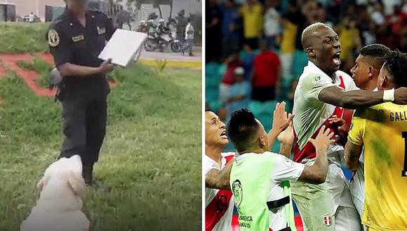 Perro policía "pronostica" triunfo de Perú frente a Chile en la Copa América | VIDEO