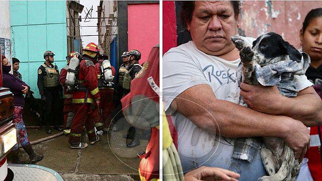 Bomberos rescatan a 3  de 17 perritos durante incendio en el Callao 