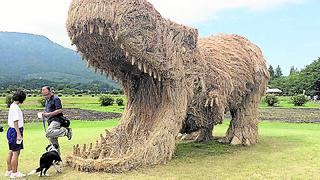 campo japonés se llena de dinosaurios de paja. 