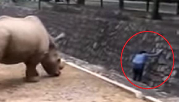 Mujer pone en peligro su vida frente a rinocerontes por su celular (VIDEO) 