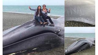  Jóvenes se suben a una ballena muerta, la rayan y se sacan fotos