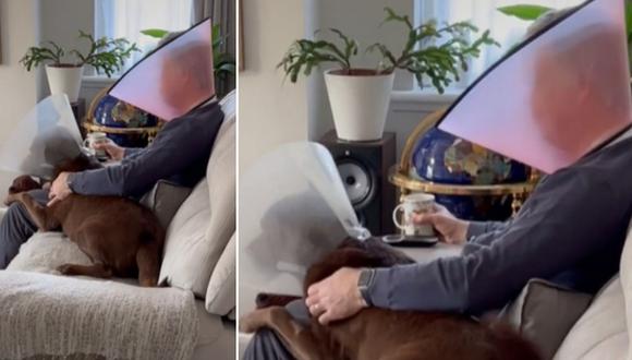En esta imagen se aprecia al hombre usando un cono para que su perro “se sienta menos solo después de su cirugía”. (Foto: @good.boy.ollie / TikTok)