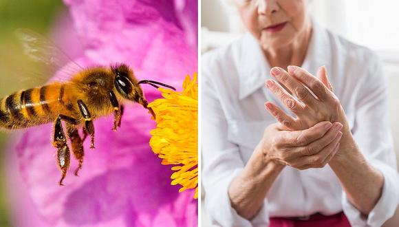 Veneno de abeja sería cura para el mal de Parkinson