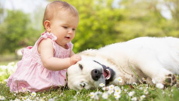 6 Razas perfectas de canino para acompañar a tu hijo