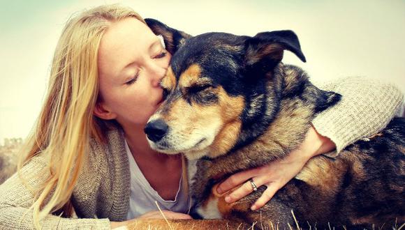 5 beneficios de las mascotas para la salud