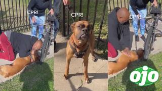 Hombre conmueve a todos al salvar a un perrito con RCP y se hace viral en redes sociales