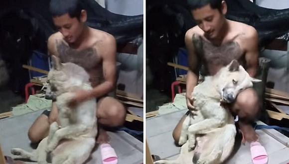 Perrito que no quiere ser bañado, se hace el muerto y enamora en redes (VIDEO)