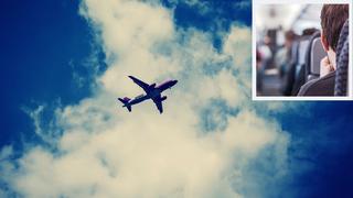 Piloto se desmaya en pleno vuelo y pasajero ayuda a aterrizar avión: aerolínea pide disculpas  a clientes