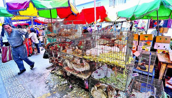 Animales en la Parada: Ambulantes venden aves, cuyes y conejos