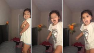 Niña entrenó a su loro para que ataque a quien ella quiera (VIDEO)