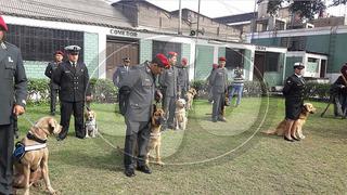 Fiestas Patrias: perritos especializados en búsqueda y rescate participarán en desfile (VIDEO)