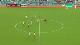 Perú 0- 1 Colombia: hincha peruano invadió campo y paralizó partido | VIDEO