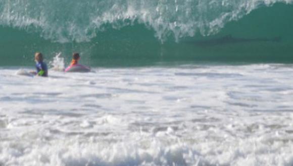 Insólito: Niños surfean junto a tiburón sin saberlo [VIDEO] 
