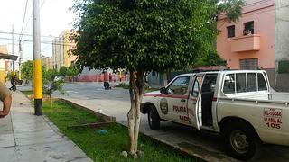 Breña: Hallan granada de guerra cerca a un árbol [FOTOS Y VIDEO]